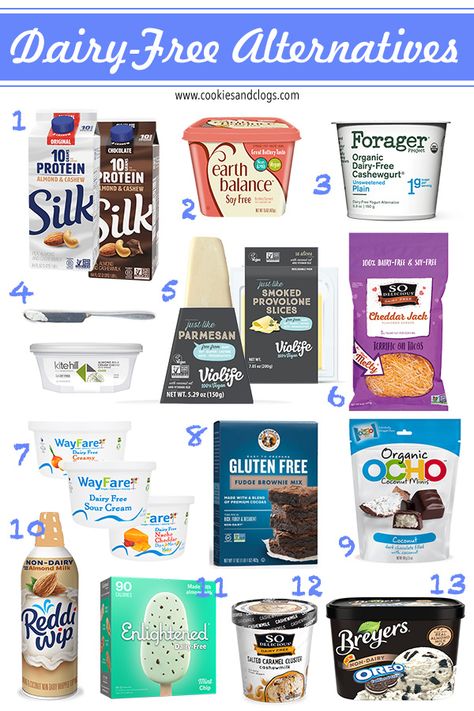 10+ Almost Perfect Dairy Free Alternatives That Make Food Tasty Again Yogurt Sour Cream, Dairy Free Cooking, Crunchwrap Supreme, Dairy Free Breastfeeding, Dairy Free Snacks, Milk Allergy, Dairy Free Alternatives, Dairy Free Dinner, Milk Ice Cream