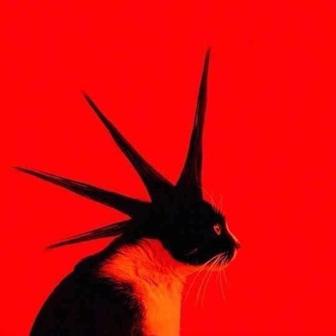 Punk Cats, Iphone Theme, Arte Punk, 인물 드로잉, Arte Obscura, Arte Inspo, Ap Art, Aesthetic Gif, Jolie Photo