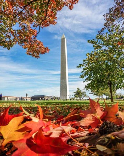 Fall In Washington, Visit Dc, Dc Washington, Washington Dc Travel, Hotel Packages, Fall Events, Washington Monument, Fall Pictures, Free Things To Do