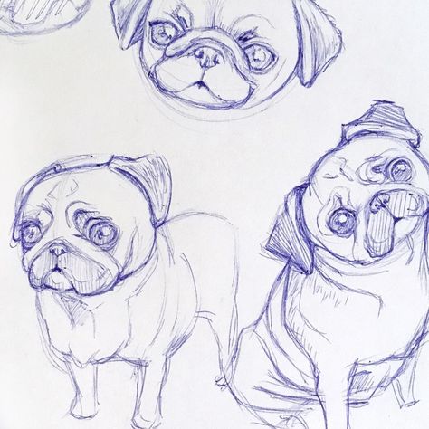 Pug Dog Drawing, Pugs Drawing, Pug Sketch, Pug Drawing, Pug Illustration, Puppy Sketch, Pug Art, Childrens Books Illustrations, Film School