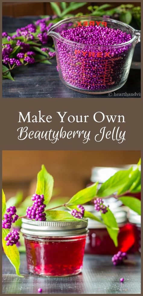 American Beauty Berry Recipes, American Beauty Berry Jelly, Beauty Berry Jelly Recipe, Beauty Berry Jelly, Beautyberry Recipes, Berry Jelly Recipe, Beautyberry Jelly, Beauty Berries, Herbal Jelly