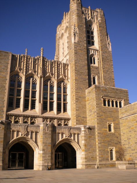 Princeton University Library/Firestone ... Princeton Library, Princeton Campus, Princeton University Campus, Pretty City, College Architecture, University Architecture, University Library, Dream College, Fire And Stone