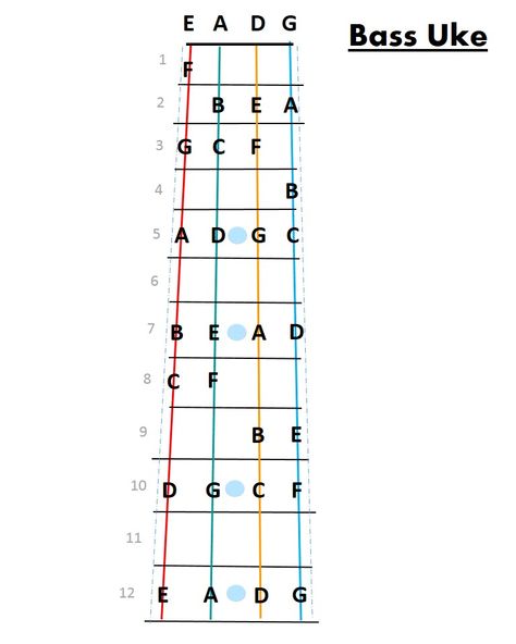 Fret map for bass ukulele, simplified to keep it clean. Baritone Ukulele Chords, Baritone Ukulele Fingerpicking, Baritone Ukulele Songs, Playing Ukelele, Hawaiian Souvenirs, Akordy Na Ukulele, Ukulele Holder, Ukulele Fingerpicking Songs, Ukulele Fingerpicking