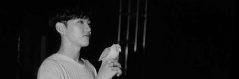 Seventeen Hoshi B&W Twitter header Hoshi Twitter Header, Hoshi Header, Seventeen Hoshi, Twitter Header Aesthetic, Hoshi Seventeen, Twitter Header, Ig Story, Seventeen, Layout