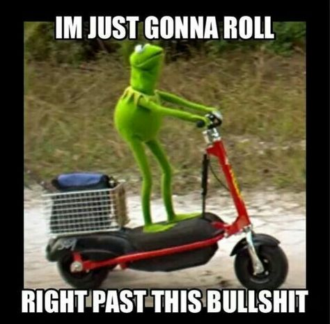 Funny Kermit Memes, Kermit Meme, Kermit Funny, Kermit The Frog, Twisted Humor, Work Humor, Bones Funny, I Laughed, Funny Quotes