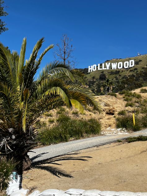 90s Los Angeles Aesthetic, Singer Life, Los Angeles Palm Trees, California Wallpaper, Los Angeles Aesthetic, Los Angeles Travel, Los Angles, Moving To Los Angeles, Hollywood Sign