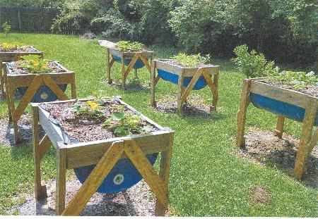 FARM SHOW - "Half-Barrel" Raised Garden Beds Plastic Barrel Planter, Making Raised Garden Beds, Raised Garden Beds Diy Vegetables, Raised Gardens, Garden Raised Beds, Farm Show, Garden Beds Diy, Building Raised Garden Beds, Bucket Gardening