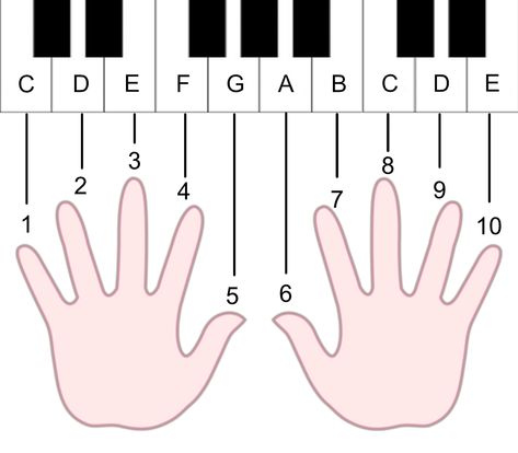 Piano Worksheets, Piano Hands, Piano Teaching, Music Class, Keyboard Piano, Learn Piano, Business Template, Learning Activities, Peace Gesture