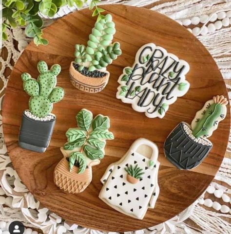 Sugar Cookie Flowers, Plant Cookies, Smile Cookies, Cactus Cookies, Baking Corner, Icing Designs, Happy Birthday Cookie, Icing Design, Plant Party