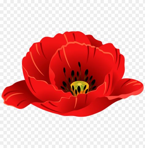 Poppy Clipart, Poppy Flower Bouquet, Ukrainian Flowers, Dupatta Painting, Poppy Images, Patriotic Images, Remembrance Poppy, Flower Cartoon, Painting On Fabric