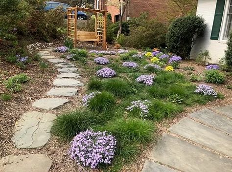 Reducing lawn | Virginia, USA | Plant NOVA Natives Nc Native Landscaping, Native Landscape Design North Carolina, Native Plant Landscaping Virginia, Virginia Native Plants Gardens, Native Plant Lawns, Native Virginia Plants, Iowa Native Plants, Low Maintenance Yard, Lawn Turf