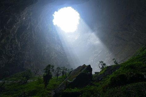 Photos: See the Chinese Sinkhole That Developed Its Own Ecosystem - WSJ Ancient Forest, Ancient Tree, The Locals, Around The Worlds, Indonesia, Forest, The Incredibles, Natural Landmarks, China