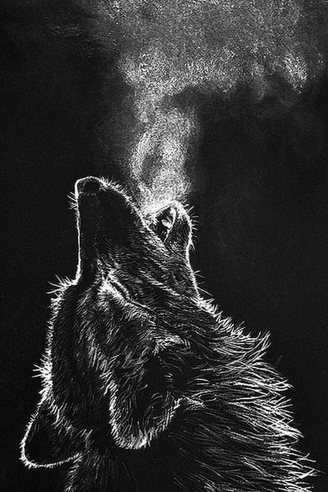 Download for free Wallpapers Mobile Wolves. Awesome collection HD wolf wallpapers and background images for PC, Laptop, iPad, Chromebook, Android, iPhone, Mobile phone. Wallpapers Wolf, Blink 182 Nurse Costume, Cell Phone Wallpapers, Red Riding Hood Wolf, Cute Wolf Drawings, Gym Wallpaper, Wallpapers For Mobile Phones, Fantasy Wolf, Wallpapers Phone