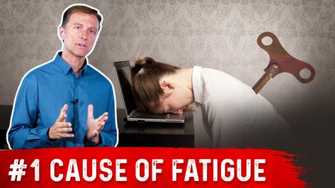 Causes Of Fatigue, Palmer College Of Chiropractic, Low Stomach Acid, Doctor Of Chiropractic, Dr Eric Berg, Small Intestine Bacterial Overgrowth, Eric Berg, Dr Berg, Diet Doctor