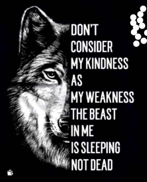 Werewolf Mythology, Wolf Pack Quotes, Inspirational Animal Quotes, Alpha Quote, Success Mindset Quotes, Lone Wolf Quotes, The Lone Wolf, Vario 160, Wolf Decor