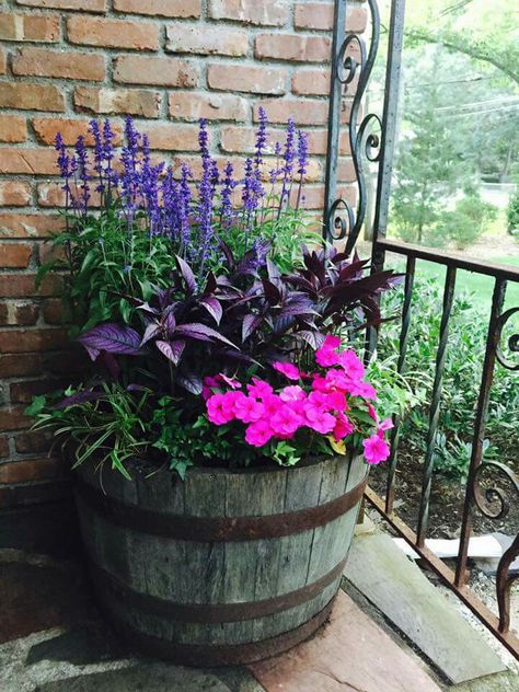 Colors Flowers In Barrels, Colorful Planters Pots Front Porches, Flowers In Galvanized Tub, Barrel Planter Ideas Front Yards, Whiskey Barrel Planter Ideas Full Sun, Half Whiskey Barrel Ideas Planters, Flowers In Barrels Planters, Flower Barrel Ideas, Wooden Barrel Planter Ideas