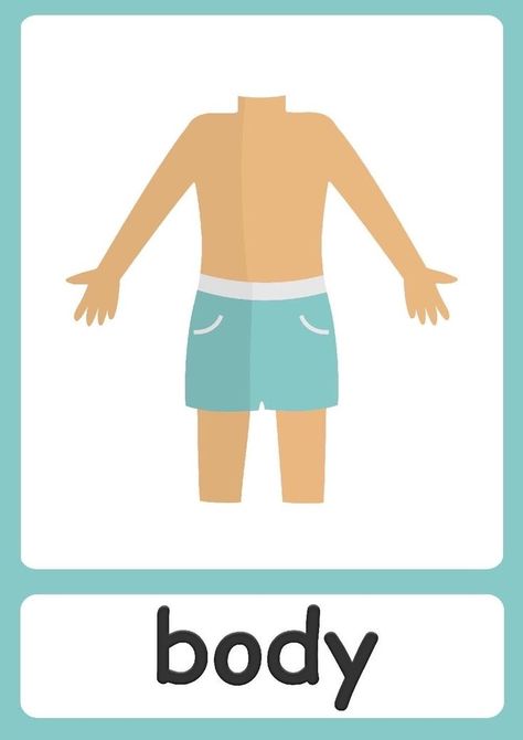 Body Part Flashcards, Body Parts Flashcards, Work Sheet, Facial