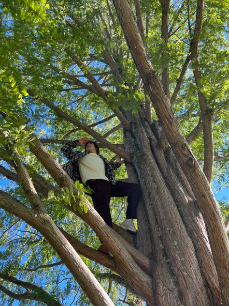 Climbing Trees, Character Board, Pose References, Hair Color Blue, Tree Drawing, Forest Fairy, Photo Diary, Life Drawing, Rock Climbing