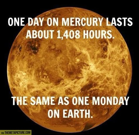 One day on Mercury... <- we could be on mercury where it is always Monday and never the weekend. Or always winter and never Christmas. Funny Monday Pictures, Science Teacher Humor, Monday Pictures, Science Fact, Monday Memes, Monday Humor, Meme Page, Star Wars Film, Clean Humor