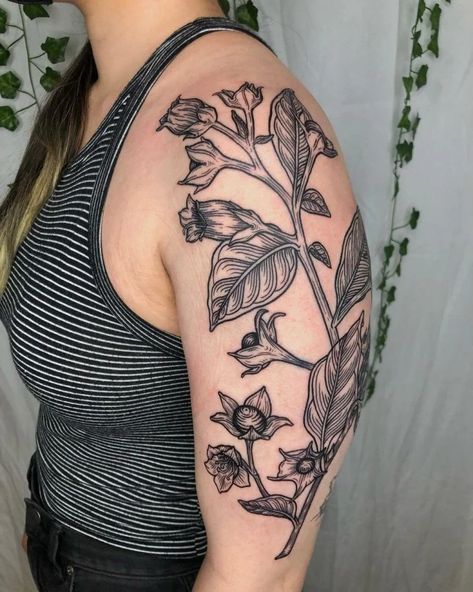 Katy Wiedemann, Deadly Nightshade Tattoo, Nightshade Tattoo, Mason Jar Tattoo, Arm References, Nightshade Flower, Tattoo Nightmares, Dahlia Tattoo, Thistle Tattoo