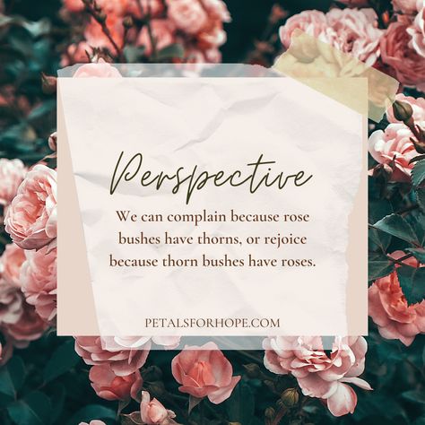 Life Is About Perspective Quotes, Quote About Perspective, Fresh Perspective Quotes, Quotes On Perspective, Its All About Perspective, 2024 Word, It's All About Perspective, Yoga Themes, Perspective Quotes