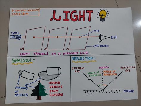 Light Travels In A Straight Line, Reflection Of Light Science, Physical Science Projects, Shadow Lessons, Water Cycle For Kids, Science Light, Sources Of Light, Science Diagrams, Science Display