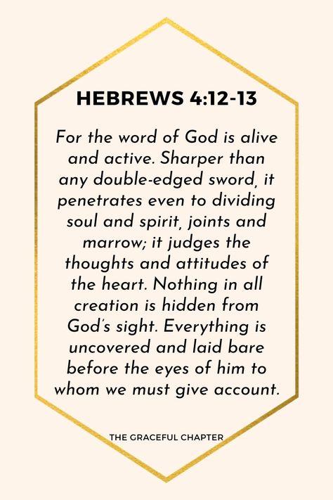 Let Your Gentleness Be Evident To All, Faith Aesthetic, Rejoice In The Lord Always, The Graceful Chapter, Bible Reflection, Rejoice In The Lord, The Peace Of God, Prayer For Love, Prayer Corner