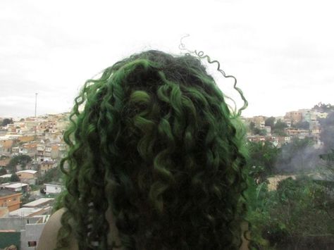 Green Highlights In Curly Hair, Green Ombre Curly Hair, Dyed Dark Curly Hair, Dark Green Hair Curly, Muddy Green Hair, Green Curly Hair Natural Curls, Dark Green Curly Hair, Green Hair Curly, Curly Green Hair