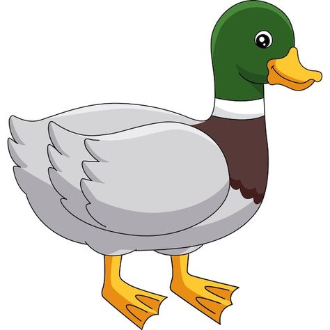 Duck Cartoon Drawing, German Flashcards, Duck Vector, Farm Animals Pictures, Duck Clipart, Duck Farming, Duck Illustration, Ideas Cocina, Duck Drawing