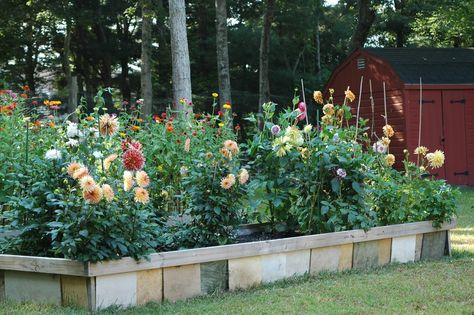 DANDELION HOUSE and GARDEN ... Raised Bed Flower Garden, Boulder Garden, Micro Garden, Bee Friendly Garden, Raised Flower Beds, Growing Dahlias, Backyard Flowers, Planting Plan, House And Garden