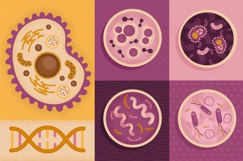 Cell Vectors, Photos and PSD files | Free Download Bacteria Cartoon, Future Technology Concept, Science Words, Biology Art, Animal Cell, Science Illustration, Human Body Parts, Hexagon Pattern, Scientific Illustration