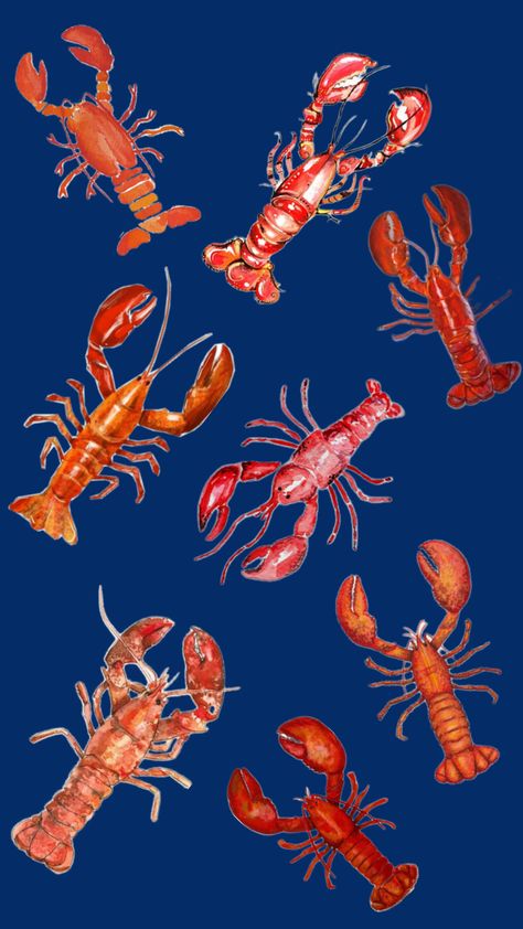 #wallpaper #lobster #myfirstshuffle #lockscreen Lobster Wallpaper