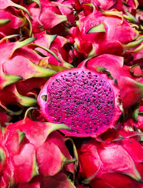 Chăm sóc da trước thềm concert BLACKPINK nhờ thanh long đỏ Dragon Fruit Benefits, Red Dragon Fruit, Low Calorie Fruits, Thanh Long, Coffea Arabica, Fruit Ice Cream, Sources Of Vitamin A, Ice Cream At Home, Less Sugar