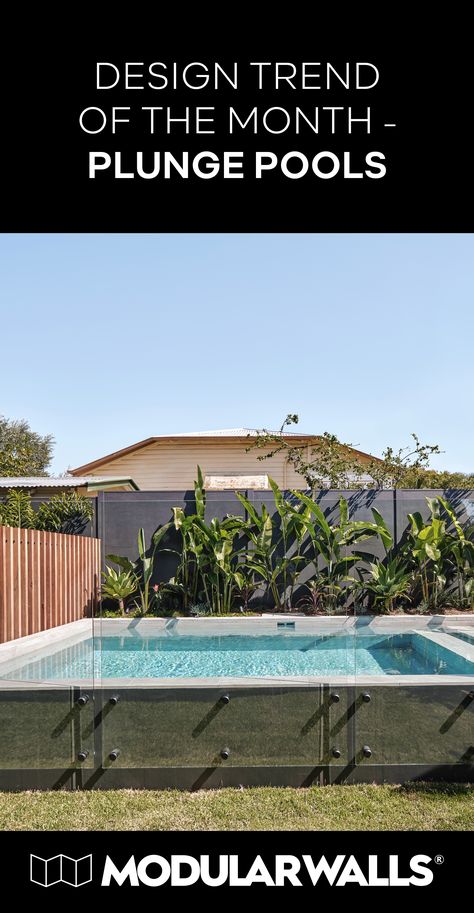 Plungie Original Pool, Plunge Pool Cost, Pool Fencing Landscaping, Patio With Pool, Hidden Pool, Pool Inspiration, Pool Fencing, Pool Shapes, Ocean Grove