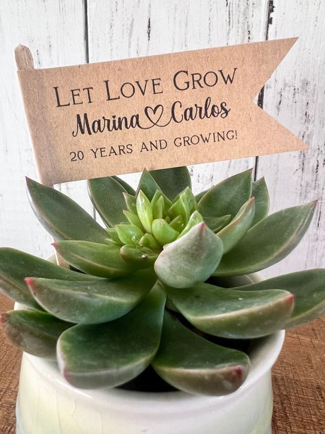 Wedding Favor Plant Ideas, Let Love Grow Sign, Let Love Grow Wedding Favors Seeds, Let Love Grow Succulent Favors, Watch Me Grow Succulent Favor, Wedding Plants, Plant Tags, 25th Wedding Anniversary, Wedding Tags