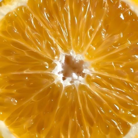 Fruit Close Up, Orange Moodboard, Sif Dark Souls, Rp Aesthetic, Aesthetic Orange, Fruit Icons, Ig Highlights, Theme Pictures, Food Wallpaper