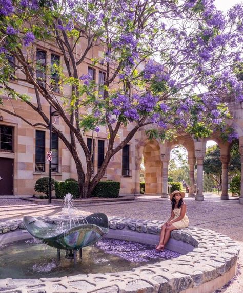 The university of Queensland.         ✿ ❀ ❁✿ For more great pins go to @KaseyBelleFox Australian University Aesthetic, University Of Queensland Aesthetic, Transport Aesthetic, Modern Academia, 2024 Energy, University Of Queensland, Australia Brisbane, 2024 Moodboard, Life Vision Board