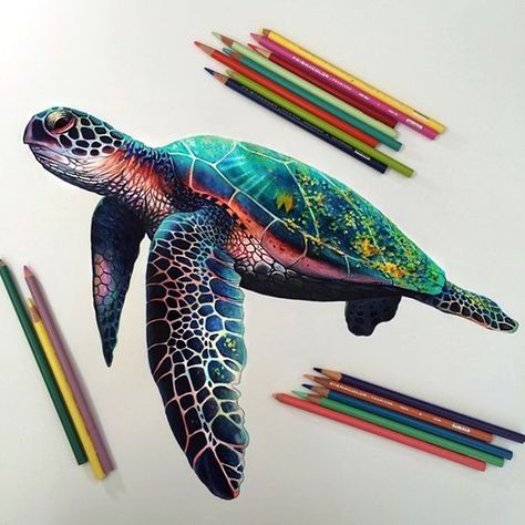 40 Color Pencil Drawings To Having You Cooing With Joy - Bored Art                                                                                                                                                                                 More Morgan Davidson Art, Coloured Pencil Illustration Art, Morgan Davidson, Colour Pencil Art, Coloured Pencil Drawings, Colorful Turtle, Colour Pencil Drawing, Kristina Webb, Prismacolor Art