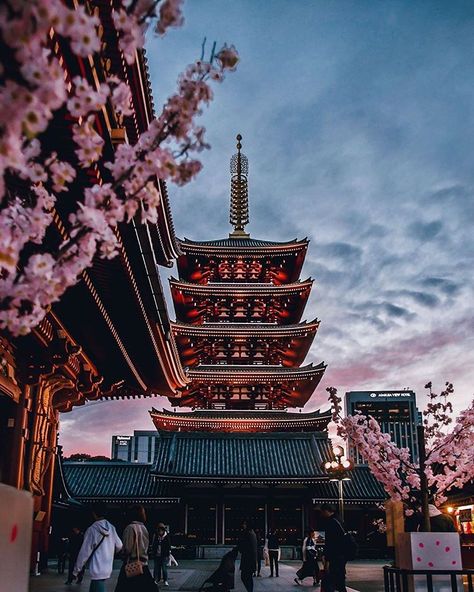 Japan Photos - 日本の写真 na Instagramu: "Sensō-ji Temple is an ancient Buddhist temple located in Asakusa, Tokyo. It's Tokyo's oldest temple.⁣⁣⁣ ⁣ What do you like the most about…" Japan Moodboard, Tokyo Picture, Japan Pics, Tokyo Temple, Kyoto Temple, Tokyo Aesthetic, Asakusa Tokyo, Places In Tokyo, Japan Temple