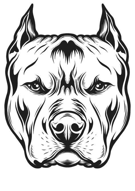 Pitbull Head Tattoo, Pitbull Tattoo Stencil, Pitbull Face Drawing, Pitbull Dog Drawing, Pitbull Tattoo Design, Pit Bull Drawing, Pitbull Drawing, Dog Caricature, Tupac Art