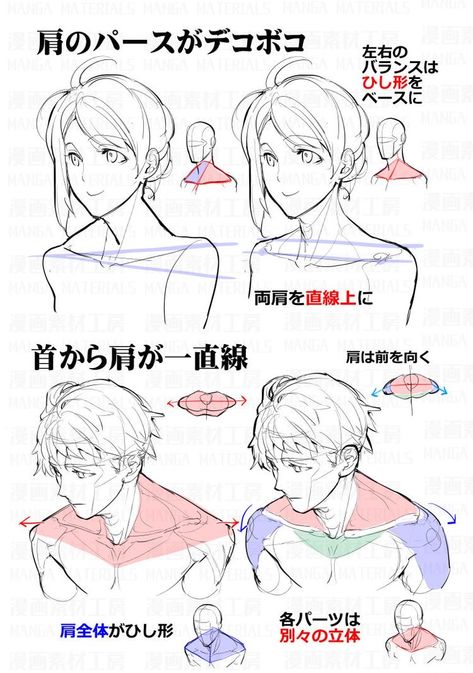 الفن الرقمي, Anatomy Tutorial, Anime Tutorial, Human Anatomy Drawing, Body Drawing Tutorial, Manga Drawing Tutorials, Human Anatomy Art, Body Reference Drawing, Body Anatomy