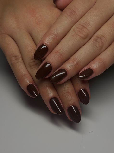 #nails #brown #brownnails #almond #almondnails #aesthetic #fashion #naildesign #nailideas #fall #fallnails Brown Oval Nails, Black Nails Short, Oval Acrylic Nails, Oval Shaped Nails, Brown Acrylic Nails, Nails Brown, Almond Acrylic Nails, Nails Almond, Dark Nails