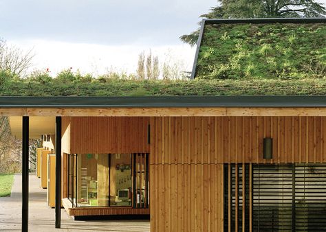 Paul Chevallier School and Nursery by Tectoniques Educational Architecture, College Architecture, Earth Sheltered, Roof Architecture, Architecture Inspiration, Green Architecture, Education Architecture, Roof Shingles, Roof Garden