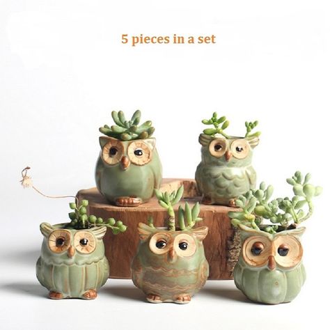 Puppy Flowers, Owl Planter, Mini Plant Pots, Ceramic Succulent, Flower Pot Garden, Owl Cartoon, Ceramic Flower Pots, Mini Plants, Ceramic Plant Pots