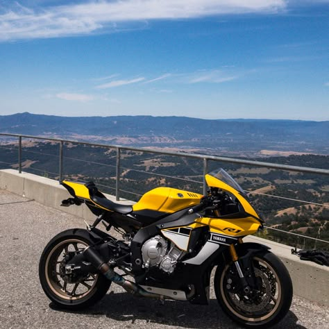 #MountHamilton #Wheel #Motorcycle #Mountain Motor vehicle, Yellow, Tree, Tire - Follow @extremegentleman for more pics like this! Yellow Motorbike, Motorcycle Yellow, Golden Bike, R1 Bike, Yellow Motorcycle, Yamaha Yzf R, Monster Bike, Yellow Bike, Motor Balap