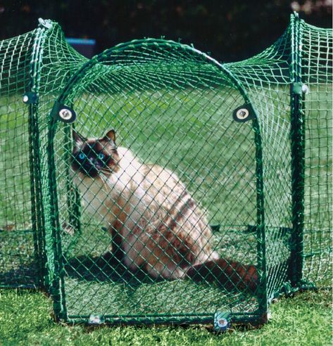 T-Connect Outdoor Pet Playpen Cat Jungle Gym, Outdoor Pet Enclosure, Pet Playpens, Cat Playpen, Cat Patio, Outdoor Cat Enclosure, Pet Enclosure, Outdoor Cat House, Pet Playpen