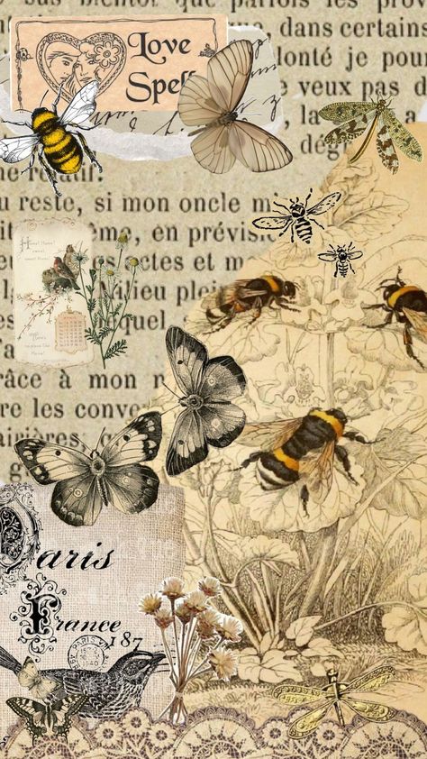 #bee#old#aestetic#20's Bees Aesthetic, Art Coursework, Honeybee Art, Art Journal Tutorial, Wild Honey, Small Art, Aesthetic Vintage, Honey Bee, Vintage Paper