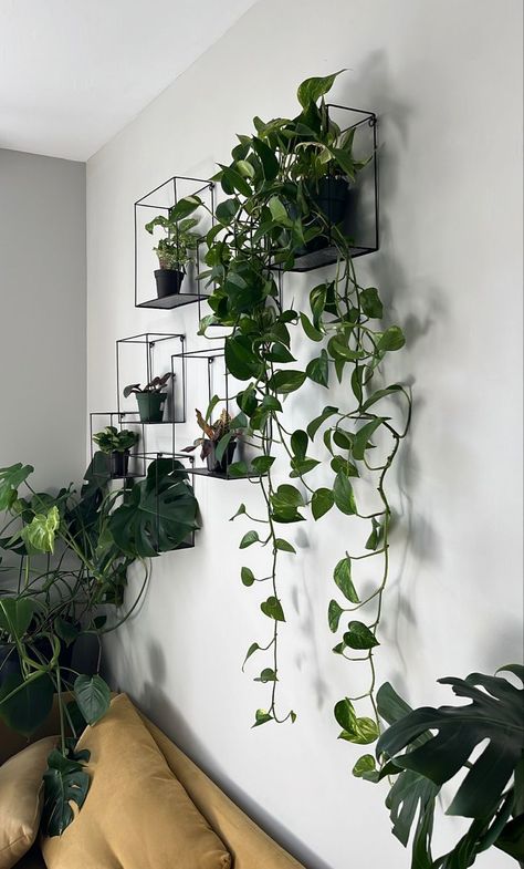 23 Creative & Modern Indoor Plant Wall Ideas Modern Indoor Plants, Plants On The Wall, Plant Wall Ideas, Hanging Plant Ideas, Wall Hanging Decorations, Indoor Plant Wall, Wall Planters Indoor, Ikea Wall, Plants Wall