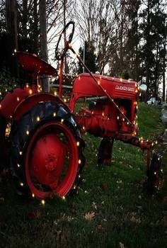 Tractor Tractor Decor, Christmas Tractor, Happy Day Farm, Tractor Pictures, Christmas Card Pictures, Barn Pictures, Christmas Photography Backdrops, Christmas Mini Sessions, Christmas Farm