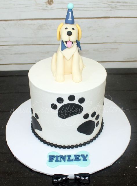 Paw Print Cake, Paw Print Cakes, Travel Cake, Dog Cakes, Dog Cake, Guide Dog, Dog Birthday, Kids Cake, 5th Birthday